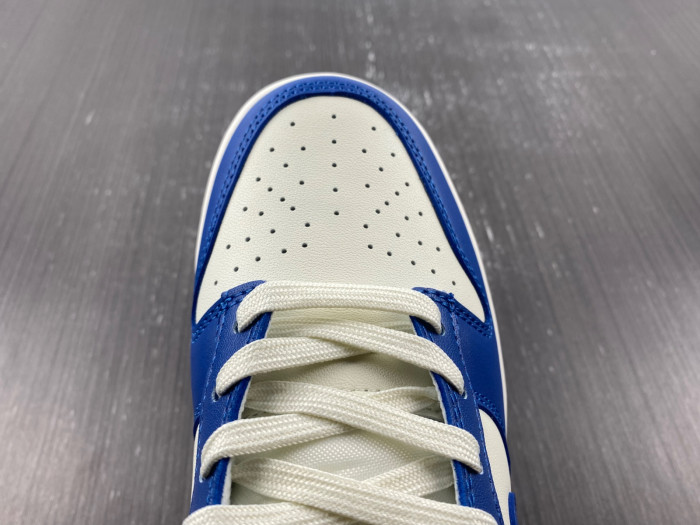 Nike Dunk Low  FB7173-141