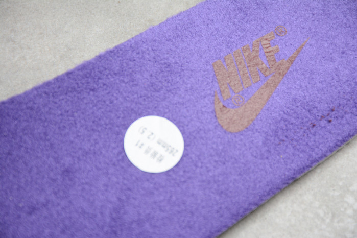 Nike Dunk Low Plum (2020) CU1726-500