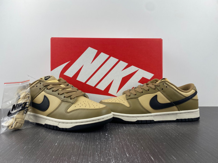 Nike SB Low Dark Driftwood DD1503-200